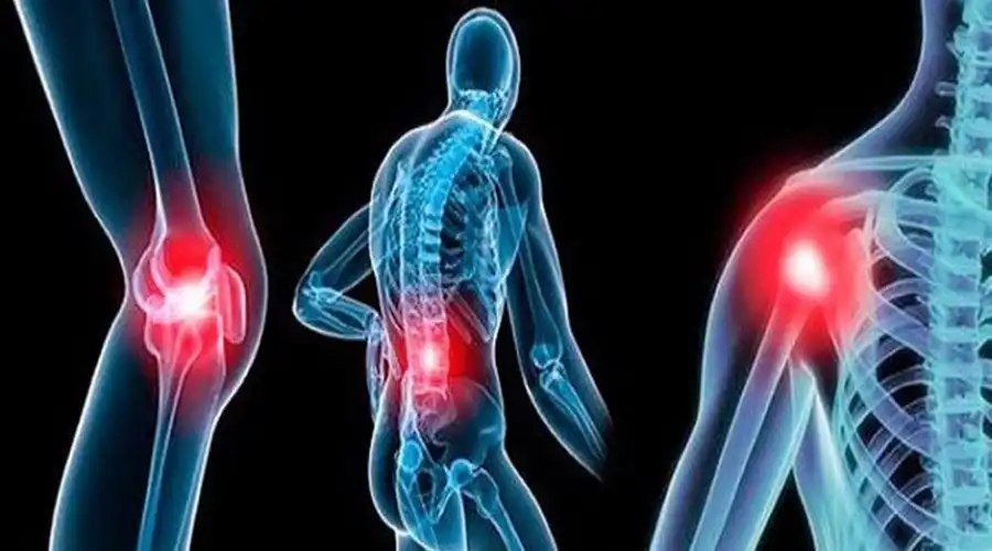 Σκλήρυνση κατά Πλάκας: Εκπροσώπηση της Θεσπρωτίας στο νέο Δ.Σ. της Ομοσπονδίας