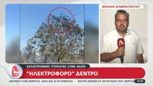 Πάτρα: Από βραχυκύκλωμα σε καλώδια φέρεται να ξεκίνησε η καταστροφική φωτιά