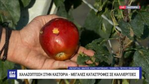 Χαλάζι προκάλεσε καταστροφές στην Καστοριά	(βίντεο)