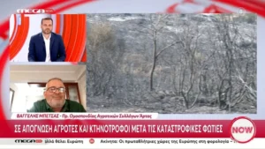 Σε απόγνωση οι αγρότες της Άρτας μετά τις καταστροφικές πυρκαγιές (βίντεο)