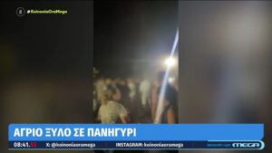 Αγρίνιο: Άγρια συμπλοκή σε πανηγύρι – Φώναζε η Γ. Τσαμπά να σταματήσουν (βίντεο)