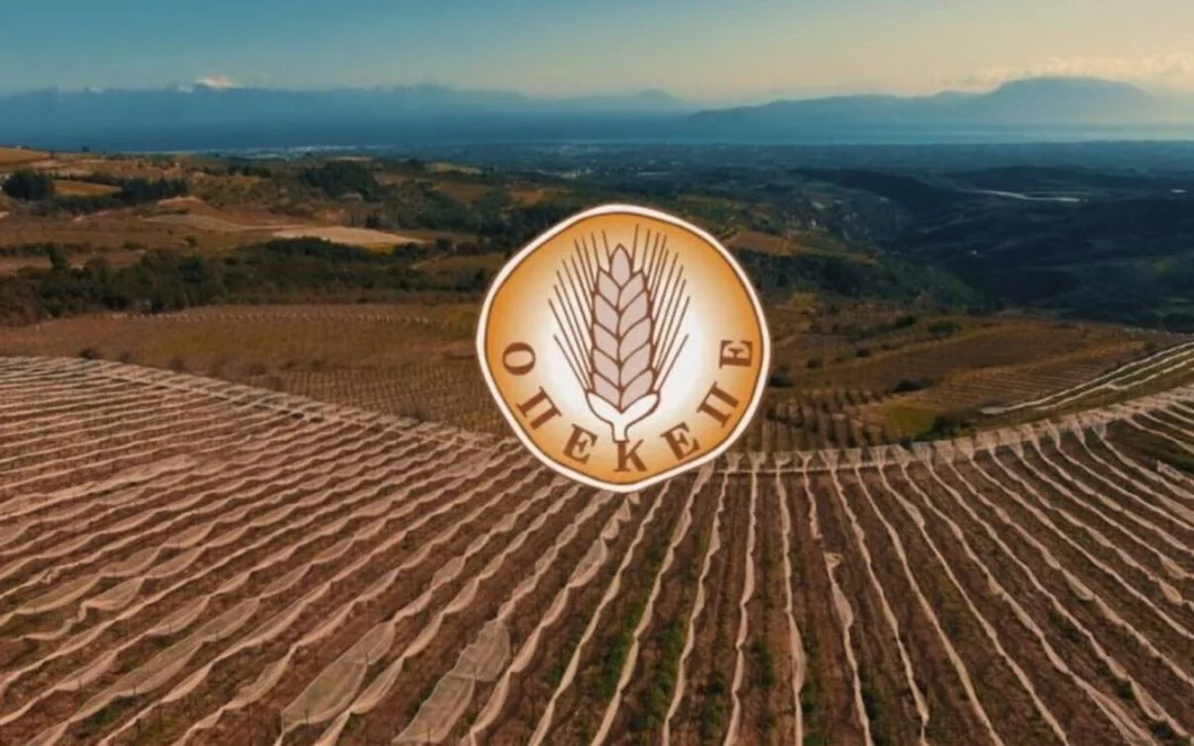 Αγρότης επέστρεψε 20.000 ευρώ στον ΟΠΕΚΕΠΕ – Πρώτη οικειοθελής επιστροφή χρημάτων (video)