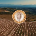 Κρήτη: Εξαρθρώθηκε κύκλωμα με παράνομες επιδοτήσεις ΟΠΕΚΕΠΕ με 22 συλλήψεις και 138 κατηγορούμενους