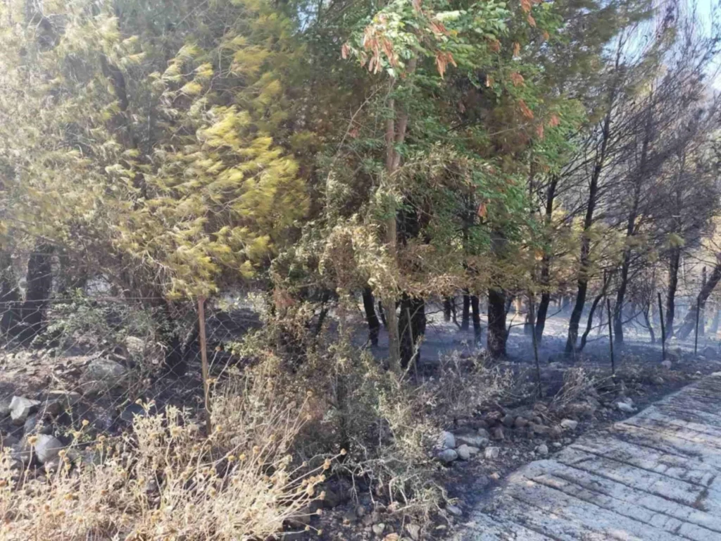 Θεσπρωτία: Απαγόρευση κυκλοφορίας σε δάση και περιοχές Natura λόγω κινδύνου πυρκαγιάς