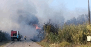 Σωματείο Μισθωτών Γεωτεχνικών: Παράδοση τροφίμων και ειδών πρώτης ανάγκης στο Εργατικό Κέντρο Πρέβεζας