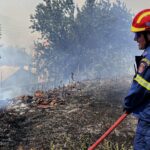 Υπό έλεγχο η φωτιά στο Κρυφόβο Ιωαννίνων – Επιχείρησαν πυροσβέστες και πεζοπόρο τμήμα