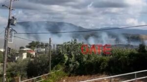 Πυρκαγιά σε εξέλιξη στο Σμέρτο Φιλιατών – Επιχειρούν επίγειες και εναέριες δυνάμεις, μήνυμα 112 στους κατοίκους
