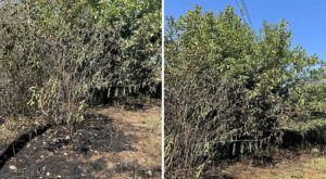 Δέσμευση του Αντιδημάρχου Πολιτικής Προστασίας Ιωαννίνων για αυξημένους ελέγχους στις υποδομές μετά το περιστατικό στο Πέραμα