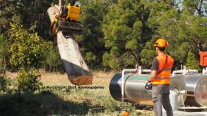 Σύγχρονη υλοτομία πόλεως και στην Ελλάδα (φωτογραφίες)