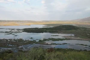 Ημερίδα για τον Αμβρακικό Κόλπο και τις Στρατηγικές Βιωσιμότητας