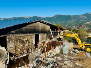 Ήπειρος – Στήριξη στα καμένα ποιμνιοστάσια μετά τις καταστροφικές φωτιές του Αυγούστου