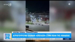 Λιβαδειά: Αγριογούρουνα βγήκαν βόλτα στους δρόμους της πόλης (βίντεο)
