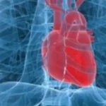 Δράση ενημέρωσης για την Καρδιακή Ανεπάρκεια από τη Β’ Καρδιολογική Κλινική του ΠΓΝ Ιωαννίνων