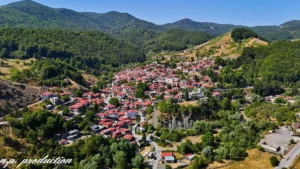 Η Μηλιά Μετσόβου και η ιστορία της βαλσαμωμένης αρκούδας