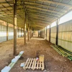 ΤΕΕ Ηπείρου: Ζητά αλλαγές στην αδειοδότηση κτηνοτροφικών εγκαταστάσεων και ξεκαθάρισμα του πλαισίου για τις περιοχές Natura
