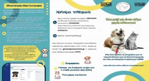 Δήμος Αρταίων: Πρόγραμμα ελέγχων και δωρεάν τσιπαρισμάτων σε κατοικίδια ζώα στις τοπικές κοινότητες