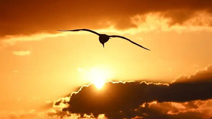 Copernicus: Η Ευρώπη είναι η ταχύτερα θερμαινόμενη ήπειρος στον πλανήτη