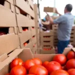ΕΤΕ: Ο τουρισμός απορροφά έως και το 15% των πωλήσεων της ελληνικής παραγωγής τροφίμων