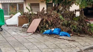 Εντατικοί καθαρισμοί ογκωδών στους Λογγάδες Ιωαννίνων ενόψει αντιπυρικής περιόδου – Έκκληση προς τους κατοίκους για συνεργασία