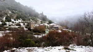 ΛΑΜΠΑΝΙΤΣΑ ΠΑΡΑΜΥΘΙΑΣ: Το ερημωμένο χωριό που έχει… ζωή!