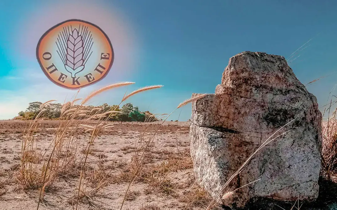 Και ξαφνικά διαγράφουν από το Ε9 αγροτεμάχια, “εκ παραδρομής” δηλωμένα!