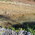 12χρονη από τη δομή Φιλιππιάδας διασώθηκε από δύσβατο σημείο στις όχθες του Λούρου