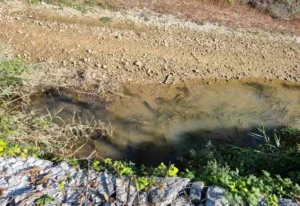 Αλλάζει δικαστήριο η δίκη Καχριμάνη για το στέρεμα του Λούρου – Δεν κινδυνεύει από παραγραφή