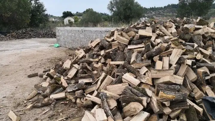 Θέρμανση: Ξεκίνησαν οι παραγγελίες για καυσόξυλα και πέλετ – Πού βρίσκονται οι τιμές (βίντεο)