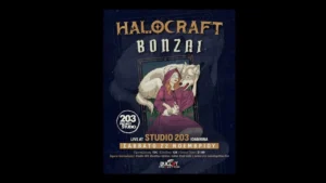 Ιωάννινα: Halocraft και Bonzai παρουσιάζουν τα νέα τους άλμπουμ