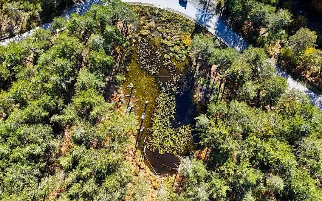 Λίμνη Ζορίκα: Ο παραμυθένιος μικρός θησαυρός του Ανατολικού Ζαγορίου (video)