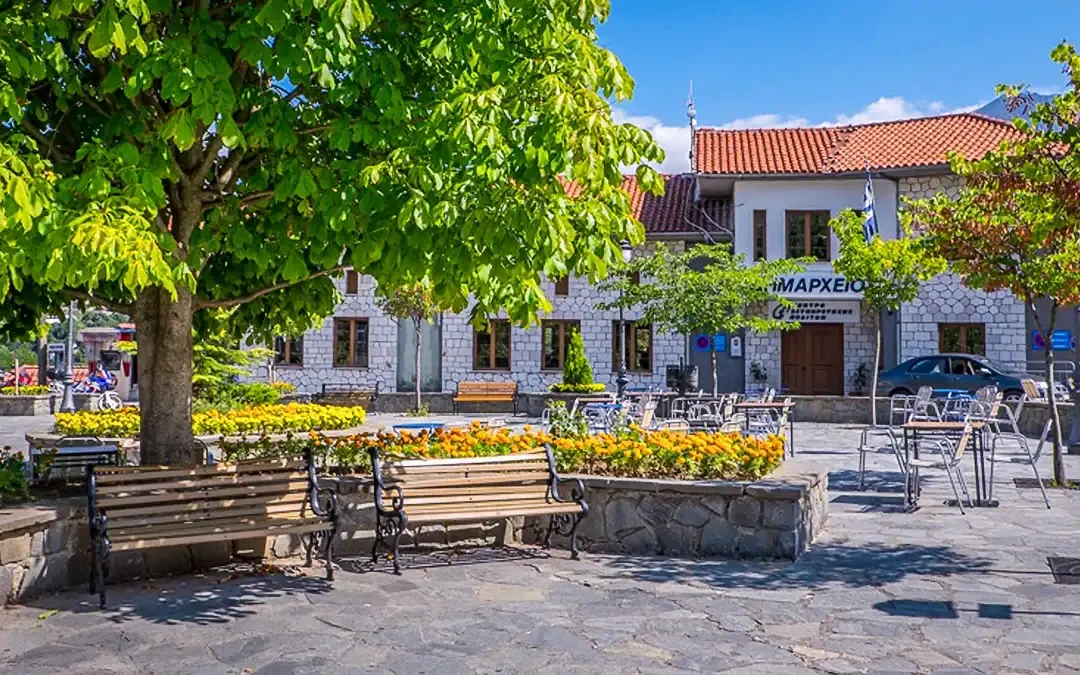 Πρωτοχρονιάτικο μήνυμα του Ν. Βαΐτση – Ενότητα και στήριξη της υπαίθρου στα Βόρεια Τζουμέρκα