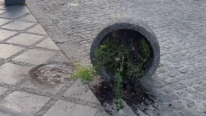 Βανδαλισμοί τη νύχτα στην οδό Ανεξαρτησίας