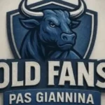 ΠΑΣ Γιάννινα: Οι Old Fans εξηγούν την απόφαση συμμετοχής στη διοικούσα επιτροπή