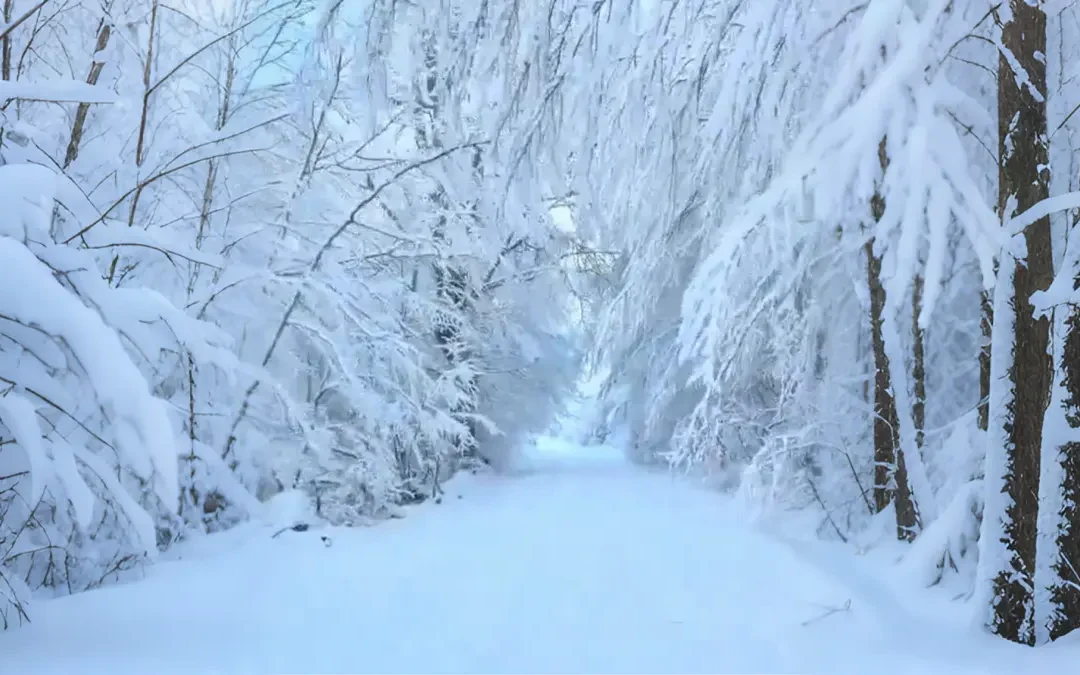 Στα λευκά ο δρόμος Πληκάτι – Παναγία Γοργοϋπήκοος, στα 1.800 μέτρα (βίντεο)