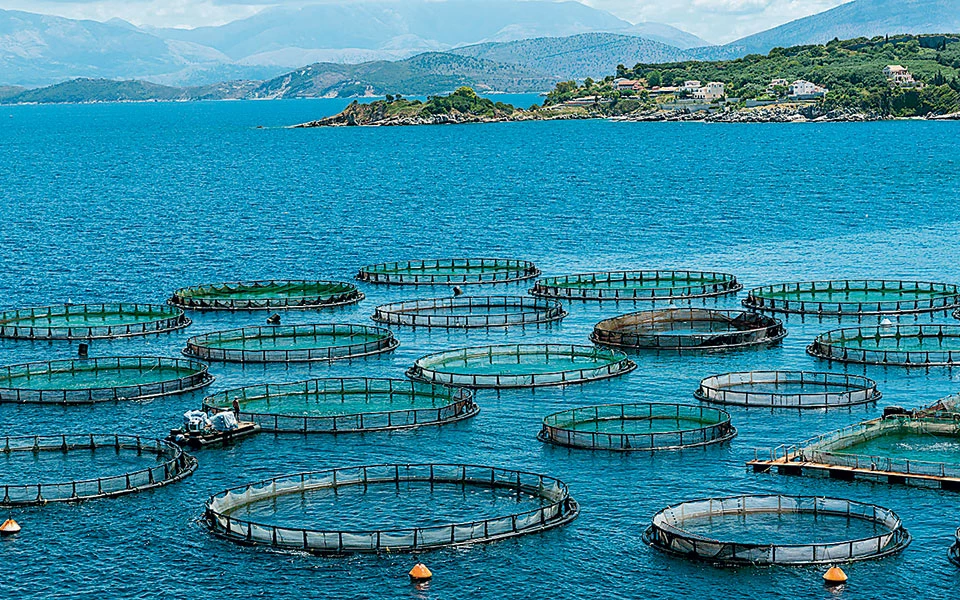 Υδατοκαλλιέργειες: Κατά 10,2% μειώθηκε η παραγωγή το 2024
