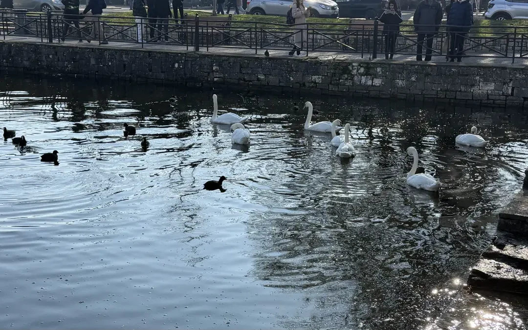 Τετάρτη: Χαμηλές θερμοκρασίες και ασθενείς χιονοπτώσεις στα ορεινά (video)