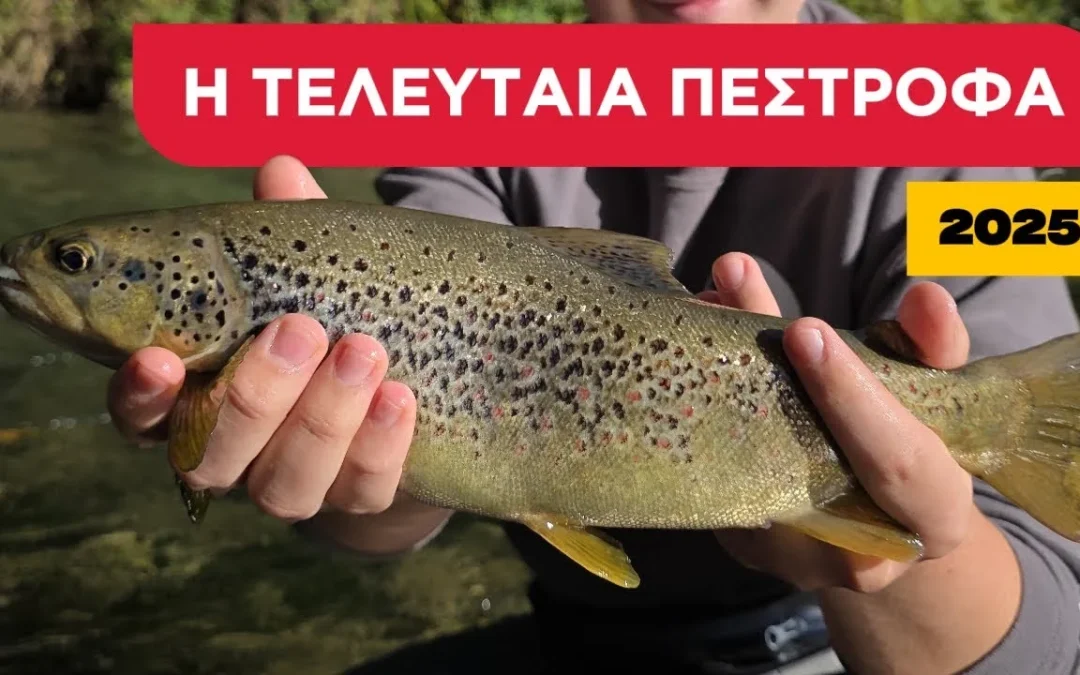 Τελευταίο Ψάρεμα Πέστροφας 2025 – Fly Fishing με Νύμφες | Only Trout Fishing