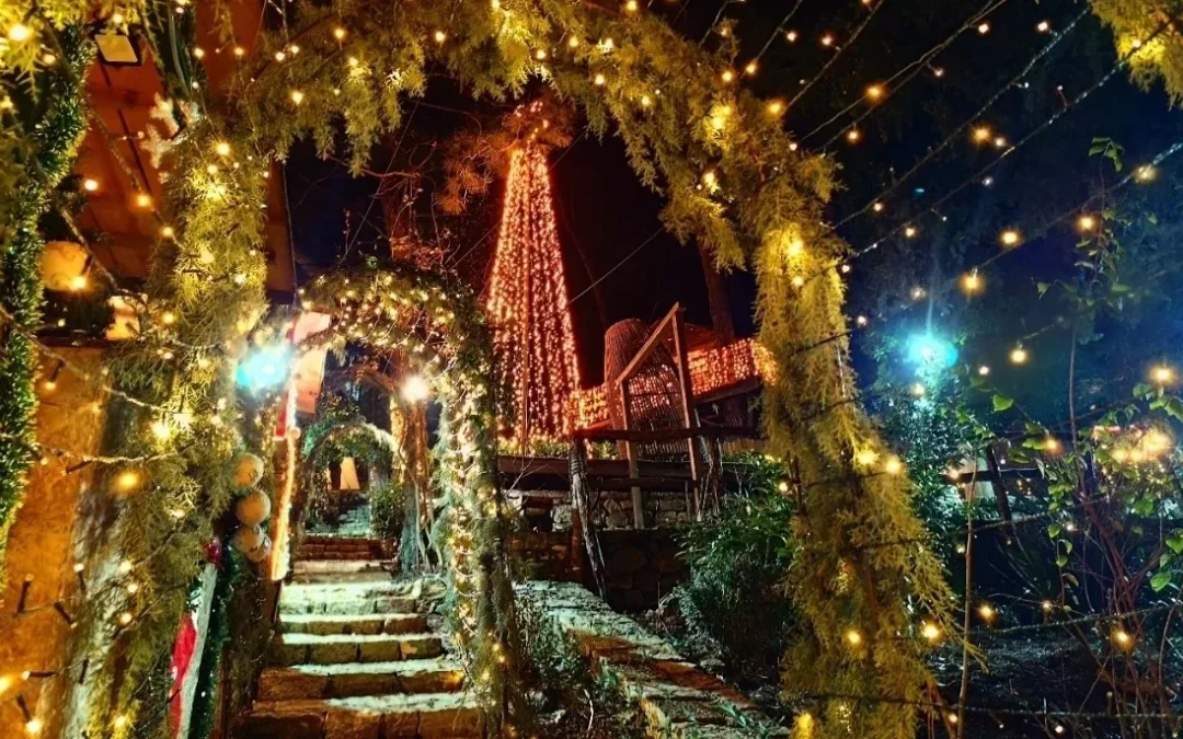 Παραμονή Πρωτοχρονιάς στο Πάρκο Φρόντζου με δωρεάν είσοδο για τρίτεκνες και πολύτεκνες οικογένειες