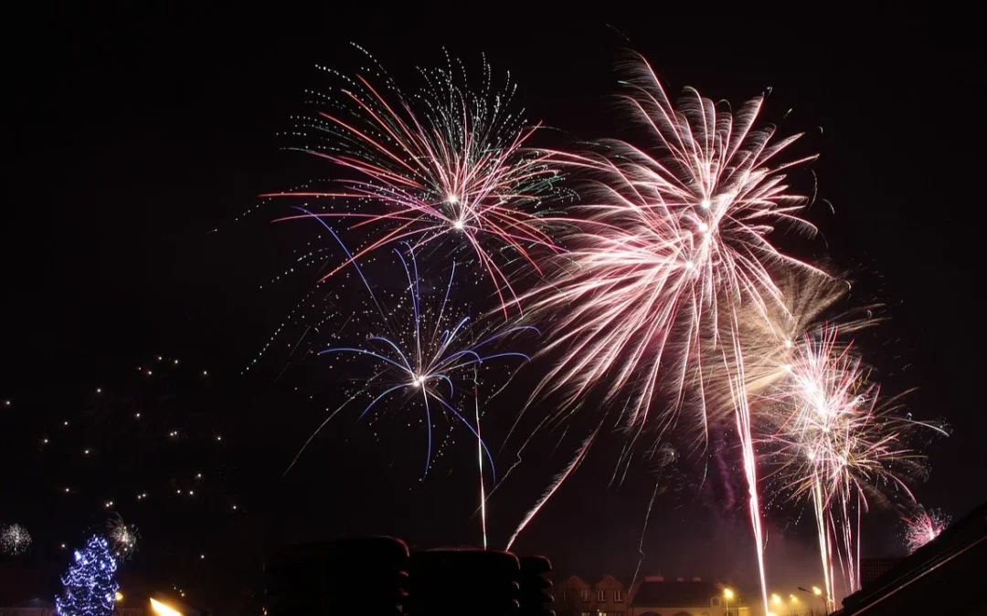 Αθόρυβα πυροτεχνήματα: Πρωτοβουλία για γιορτές με σεβασμό στα ζώα