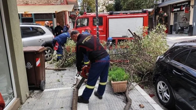 Κατερίνη: Από θαύμα δεν υπήρξαν τραυματισμοί από πτώση δέντρου σε πεζοδρόμιο