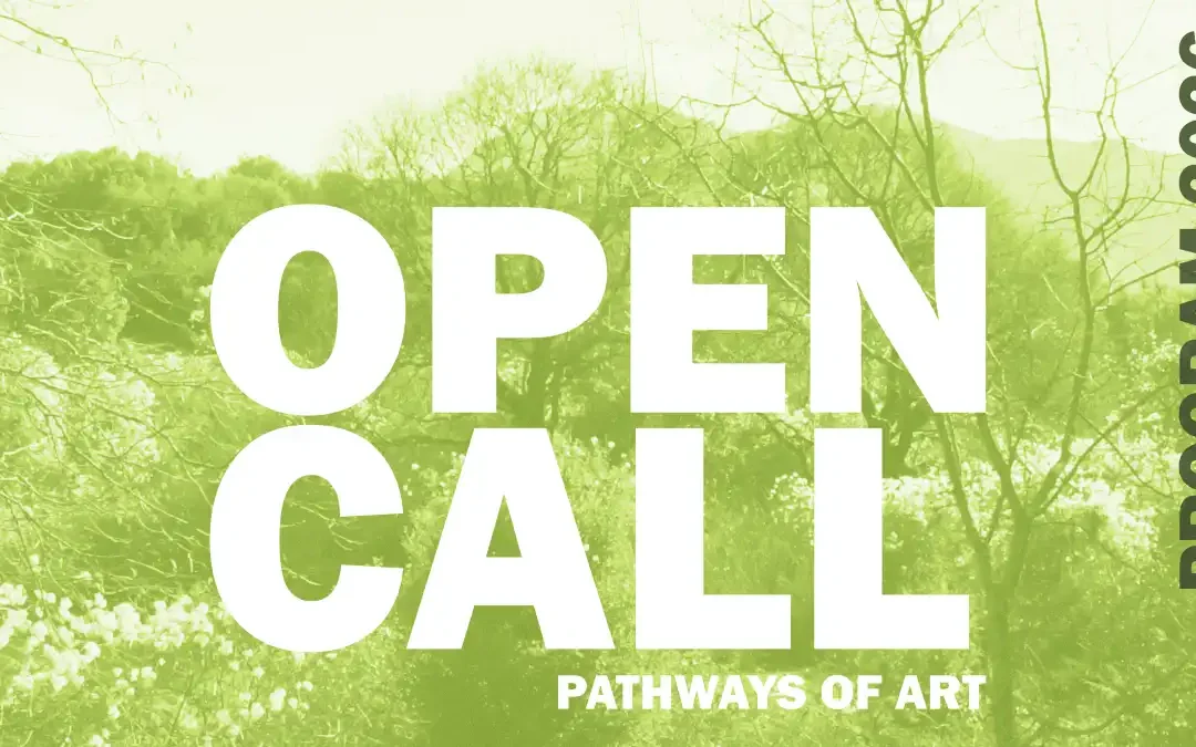 Pathways of Art: Καλλιτέχνες μεταμορφώνουν μονοπάτια του Ζαγορίου σε πολιτιστικά τοπόσημα