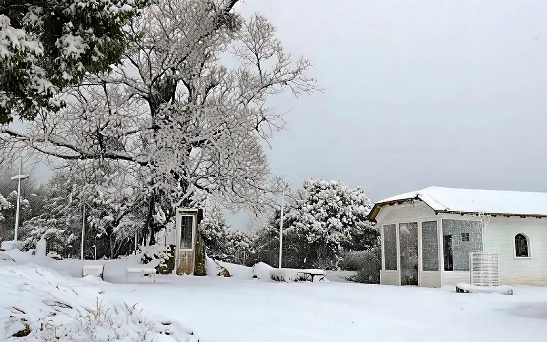 Χιονισμένη η δενδροεκκλησιά του αγίου Παϊσίου στην Κόνιτσα (φωτογραφίες)