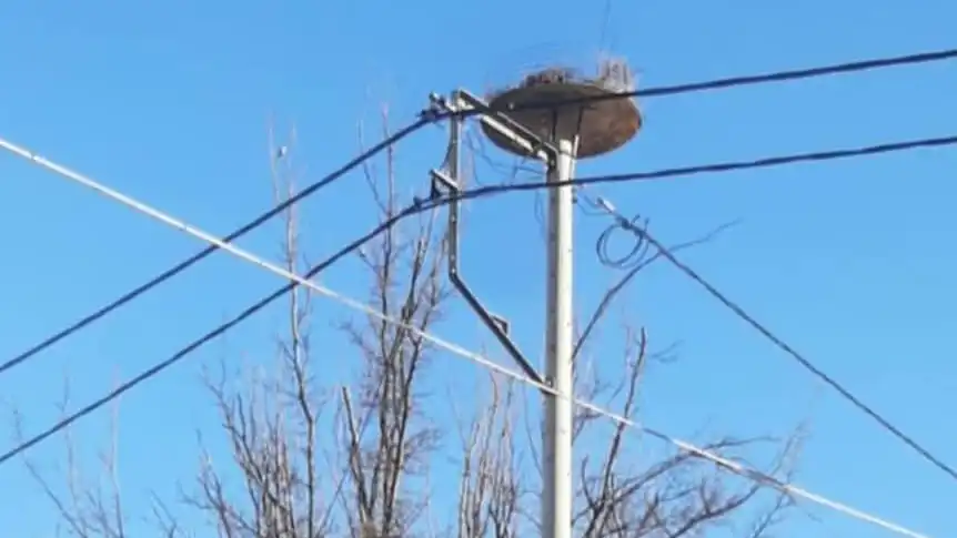 Δήμος Ζηρού: «Μετακόμισε» η πελαργοφωλιά στην Πλατεία Πελαργών