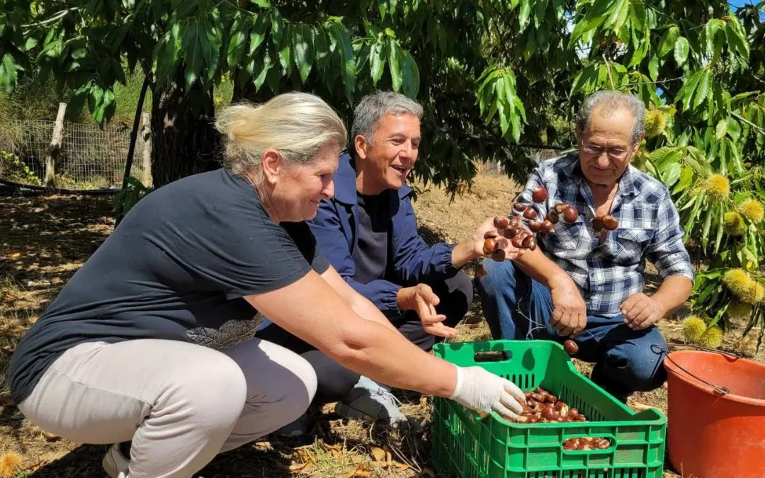 Η Ροδαυγή και τα Πιστιανά ταξιδεύουν σε όλη την Ελλάδα μέσα από τη συχνότητα της ΕΡΤ3