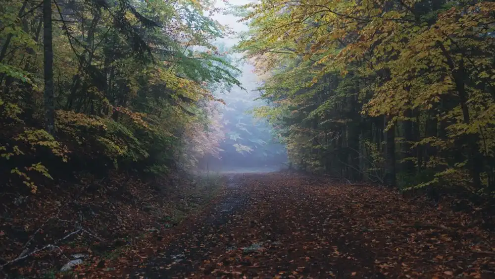 Μέτσοβο: Η μοναδική ομορφιά της Βάλια Κάλντα, μοναδικές χειμερινές δραστηριότητες και πεζοπορία στο Ursa Trail