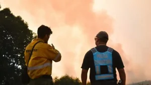 Σε «κατάσταση έκτακτης ανάγκης» η Αργεντινή λόγω των πυρκαγιών στην Παταγονία