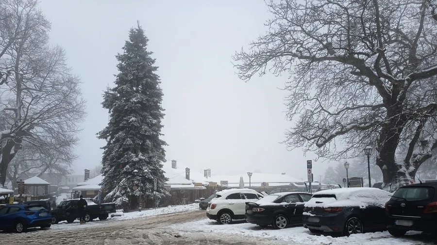 Η Ήπειρος ντύθηκε στα λευκά – Εντυπωσιακές εικόνες από τις χιονοπτώσεις (video)