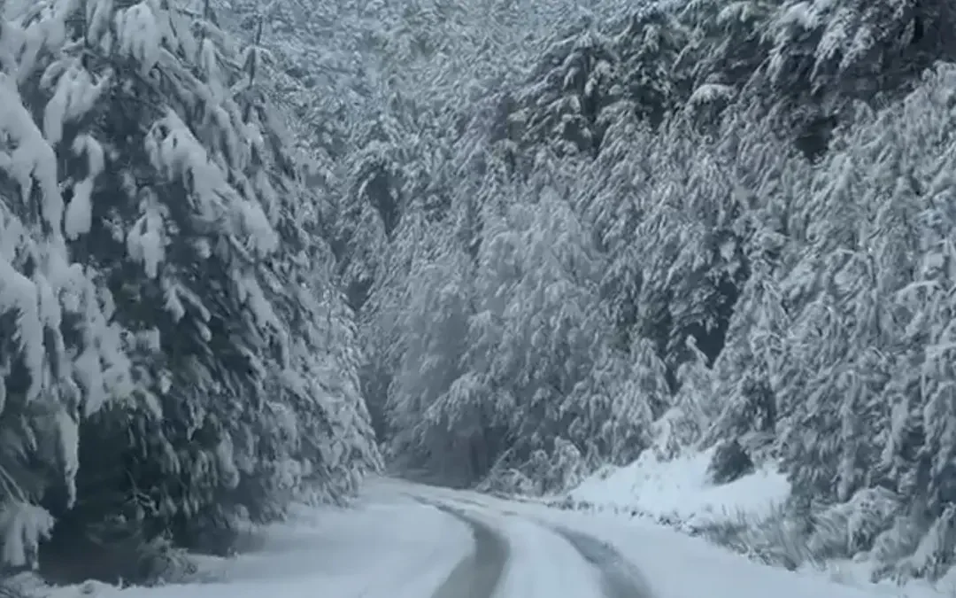 Έκτακτο δελτίο επιδείνωσης καιρού από την ΕΜΥ: Έντονο κύμα ψύχους από το απόγευμα, σε ποιες περιοχές θα χιονίσει