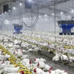 “Πάγωμα” σε νέες αγροτικές και πτηνοτροφικές μονάδες στα Ιωάννινα