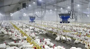 “Πάγωμα” σε νέες αγροτικές και πτηνοτροφικές μονάδες στα Ιωάννινα